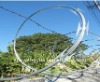 Plastic Razor Barbed Wire(factory supllier)